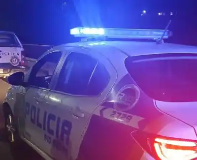 Macabro hallazgo en la costa de Chubut: un vecino encontró animales descuartizados