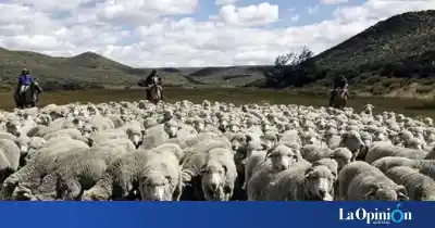 El campo santacruceño contra la Ley de Tierras: proponen regular sin prohibir