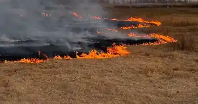 Viento Zonda: la cifra de intervenciones que reveló Bomberos en el Valle de Uco