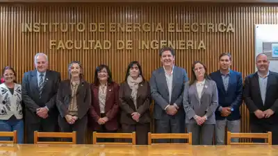 San Juan busca expertos en olivicultura: la maestría que promete revolucionar el sector