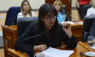 El particular distintivo que propone una concejal para autos manejados por personas sordas