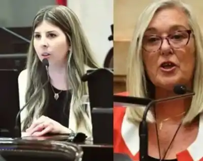 Las senadoras de Chubut en el centro de una negociación clave que destrabó la sesión en el Senado