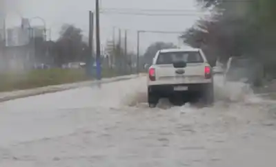 Temporal en Roca: la calle José Ingenieros se convirtió en un río y las imágenes sorprenden