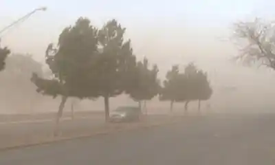 Alerta en San Juan: vientos de hasta 100 km/h y ráfagas que pondrán en riesgo a varias zonas