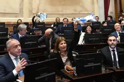 Tensión en el Senado: el Gobierno retira el capítulo sobre tierras a extranjeros tras el rechazo de Jaldo y Figueroa