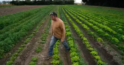 Agroecología en Rosario: un encuentro para descubrir qué hay detrás de los alimentos que comés