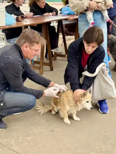 Más de 700 mascotas ya fueron vacunadas en Arroyito: ¿cuál es el próximo paso?