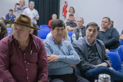 Créditos de carbono en Misiones: así se repartirán los millones que generen los bosques