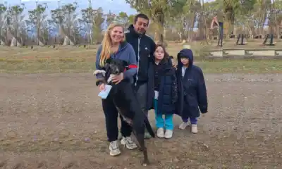 El refugio transitorio de Rawson llega a su recta final y se prepara una nueva campaña de castración