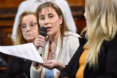 Senadores de seis provincias llegan a Tierra del Fuego: ¿qué agenda los espera?