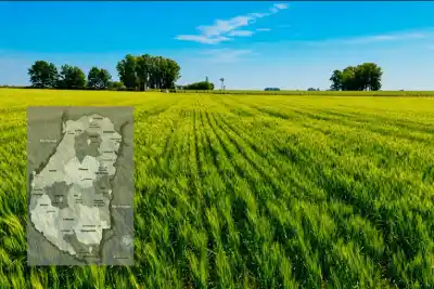 El mapa oculto de la tierra entrerriana: quiénes son los dueños y qué porcentaje está en manos extranjeras