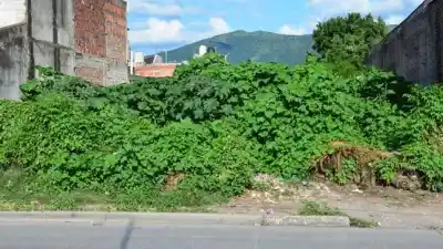 Cambio de reglas: dueños de terrenos sucios ahora lo pensarán dos veces antes de pagar la multa
