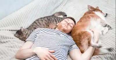 ¿Compartís la cama con tu mascota? Lo que los expertos dicen sobre dormir con perros y gatos