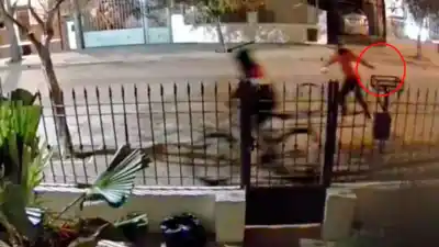 Golpeado con un arma y herido con un machete: el violento robo que dejó a una familia sin sustento