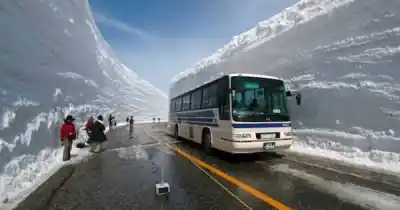 El meme que se volvió realidad: las imágenes de la nieve en Mendoza que dejaron a todos sin palabras