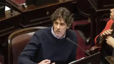 Lousteau celebró la caída del capítulo de Tierras: “Se frenó la venta de la soberanía”