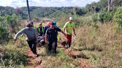 Cayó de varios metros mientras podaba en Loreto y su estado es crítico