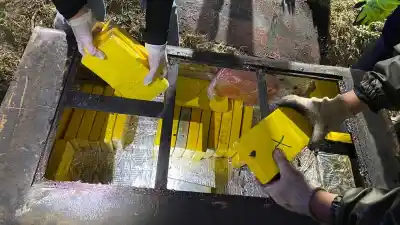 El doble fondo del camión que nadie vio: el escáner reveló un cargamento millonario en Catamarca