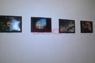 Adultos mayores de Paraná exponen su arte: la muestra que revela otra forma de ver la ciudad
