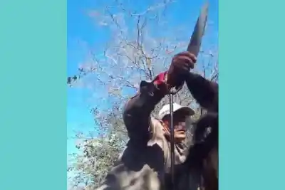 La heroína del monte: se enfrentó a machetazos con cuatreros y retuvo a uno