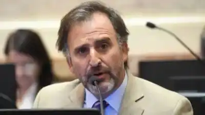 Denuncian a Benegas Lynch por vender tierras a extranjeros: ¿qué pasará con su voto?