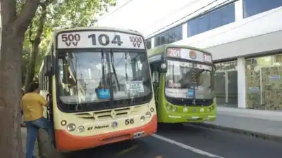 Buenas noticias para los usuarios: levantaron el paro de colectivos que iba a afectar a la Línea 104
