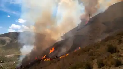 El plan de Milei para flexibilizar la venta de tierras quemadas: qué implica la reforma a la Ley de Manejo del Fuego