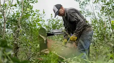 Despidos en la yerbatera de los Puerta: ¿qué pasó con los ocho trabajadores?
