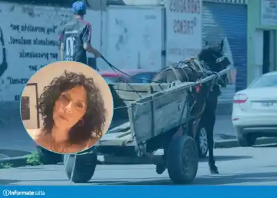 Metán avanza hacia el fin de la tracción a sangre: ¿qué pasará con los carreros?