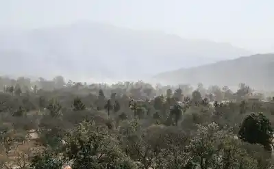 Alerta amarilla por vientos fuertes: ¿qué zonas de Jujuy serán las más afectadas?