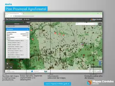 El mapa que revela cómo avanza la restauración forestal en Córdoba