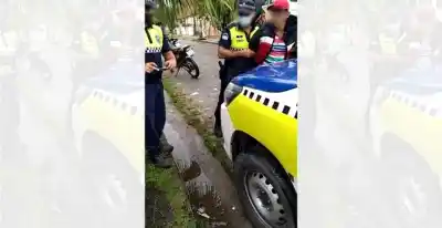 Interceptan a una “persona armada” Monteros”