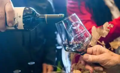 Vinos de Chubut para el mundo: Puerto Madryn reúne a los productores vitivinícolas de la provincia