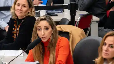 El misterioso retiro de Bausili en Diputados que encendió la furia de Julia Strada