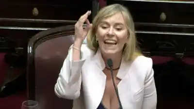 Conflicto de intereses: Di Tullio busca sacar a Benegas Lynch del debate por la Ley de Propiedad Privada