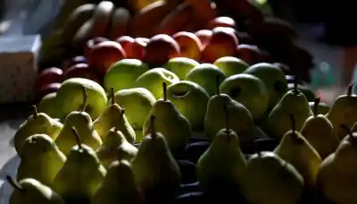 Nuevo golpe a la fruticultura: la cosecha de peras y manzanas vuelve a caer en Río Negro