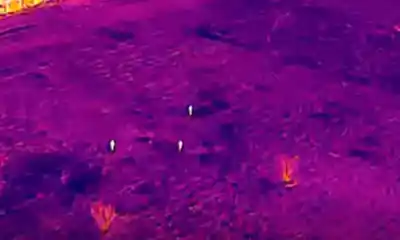 El dron térmico que delató a tres sujetos en una chacra de la Ruta 7