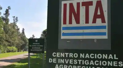 Un golpe al corazón productivo: cierran una estación clave del INTA que sostenía a cientos de productores