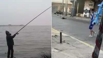 Un cable invisible en plena avenida: la salida de pesca que terminó en tragedia para un padre y su hijo