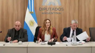 Tierras raras en Argentina: el Congreso debate una reforma clave del Código de Minería