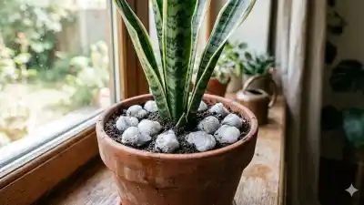 El truco secreto con dos ingredientes de la alacena que salva a tus plantas de los gatos