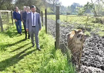 El tapir ya es Monumento Natural en Tucumán: la ley que lo protege ya fue entregada