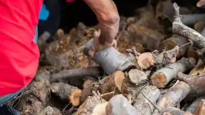 Plan Calor en Bariloche: el cronograma de entrega de leña que tenés que conocer