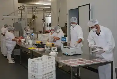 Reunión clave: el nuevo sistema que promete revolucionar el control de los frigoríficos