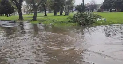 Alerta naranja en La Plata: el agua no da tregua y los vecinos ya reportan calles anegadas