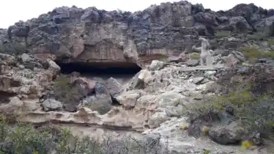 El secreto mejor guardado de la Patagonia: una cueva con arte rupestre de 8.200 años que pocos conocen