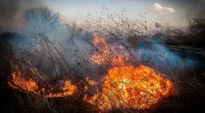 Alerta extrema en Salta: el riesgo de incendios forestales es crítico y piden máxima precaución