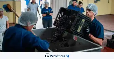 Las escuelas agrotécnicas de San Juan se preparan para una jornada que promete revolucionar el campo