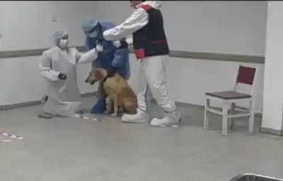 Caso Loan: el perito confirmó rastros del niño en los vehículos de Pérez y Caillava