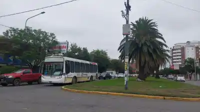 Fin de semana largo: el colectivo universitario suma servicios especiales en agosto